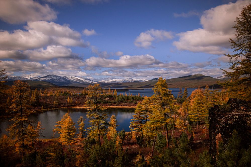 Photograph by Ольга