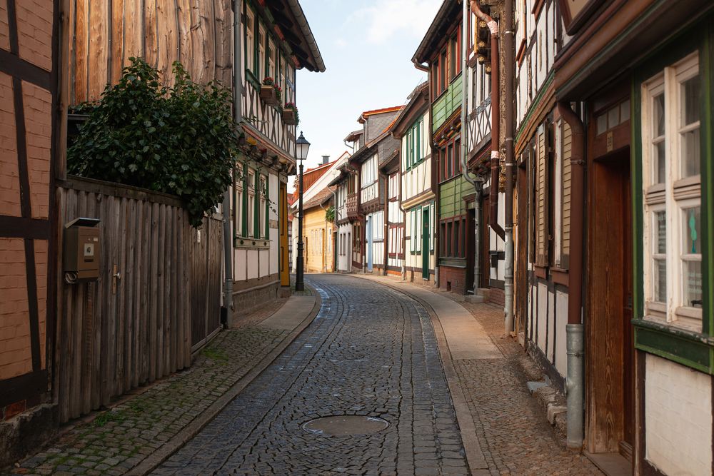 Photograph by Natalie Lamm