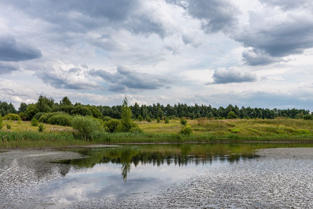 Photograph by Andrey Chernov