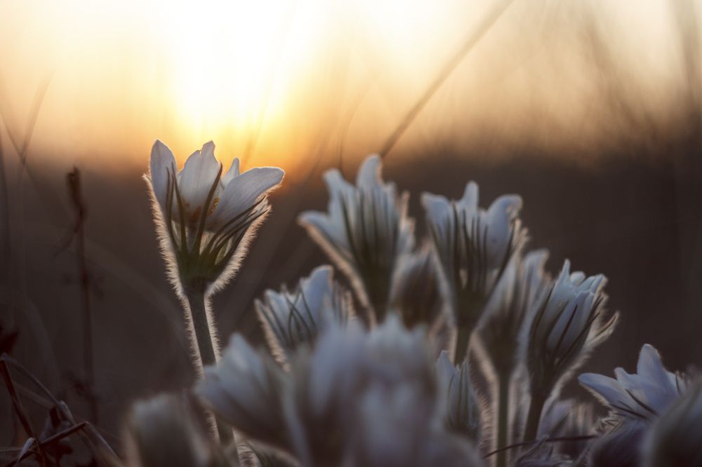 Photograph by Efremenko Nikita