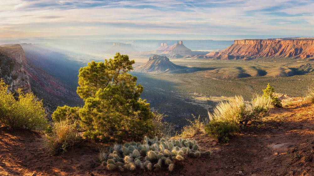 Фотография автора Alex Mironyuk