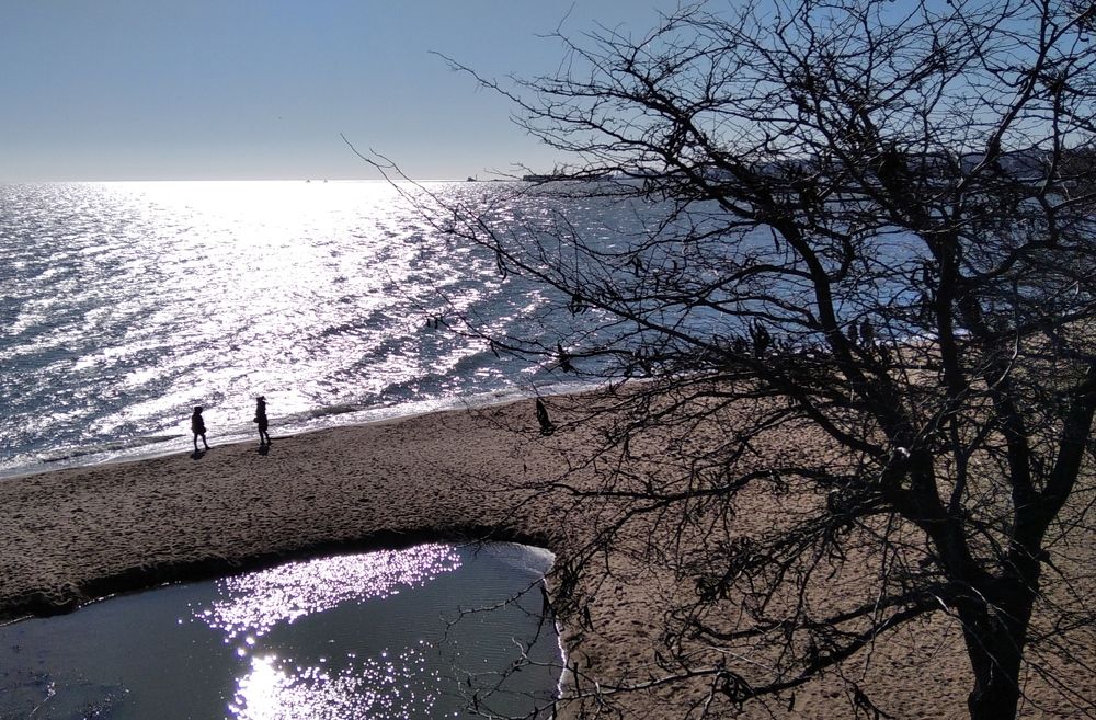 Photograph by Людмила Ермоленко