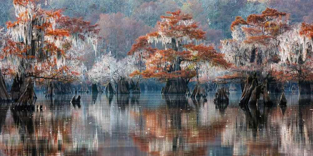 Фотография автора Alex Mironyuk