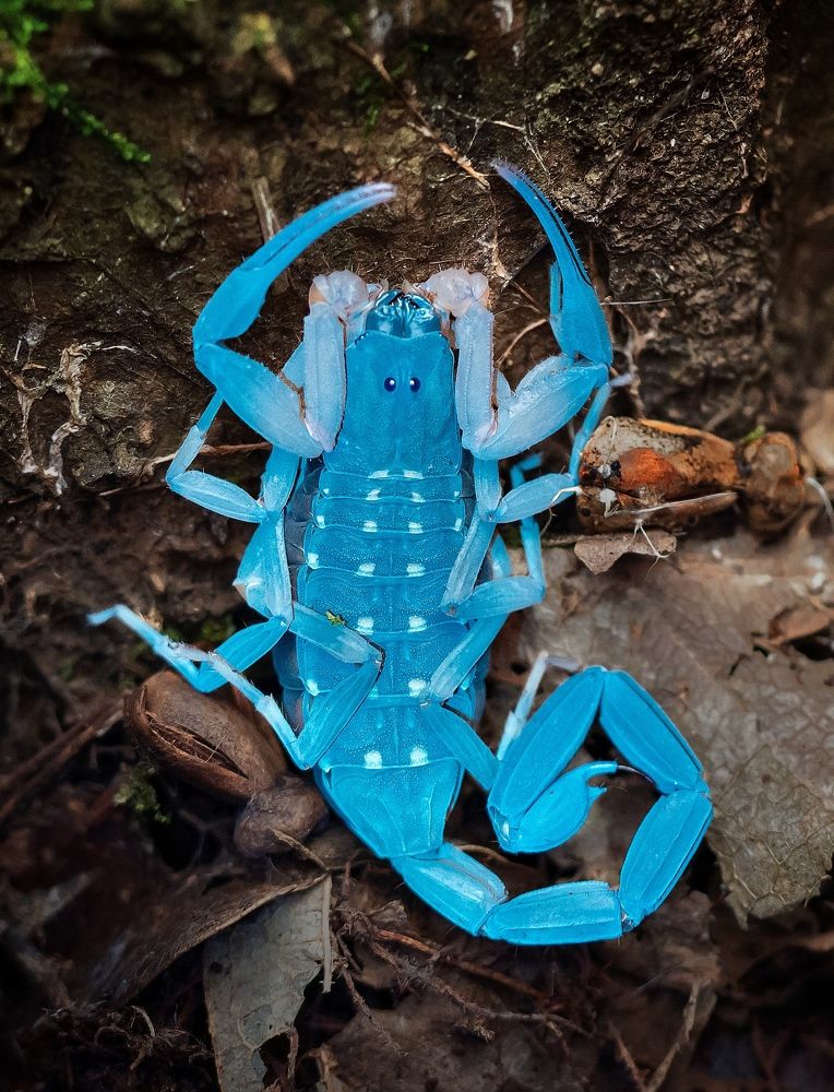 Photograph by Madhan Kumar Balaguru