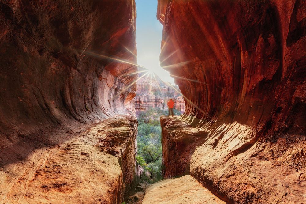 Фотография автора Alex Mironyuk