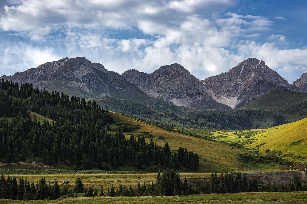 Фотография автора Душанц Владимир