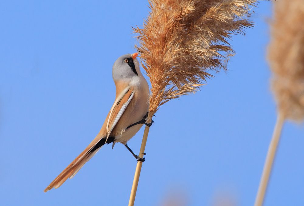 Фотография автора Татьяна Меньшикова