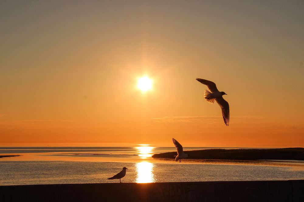 Photograph by Ольга Ситникова