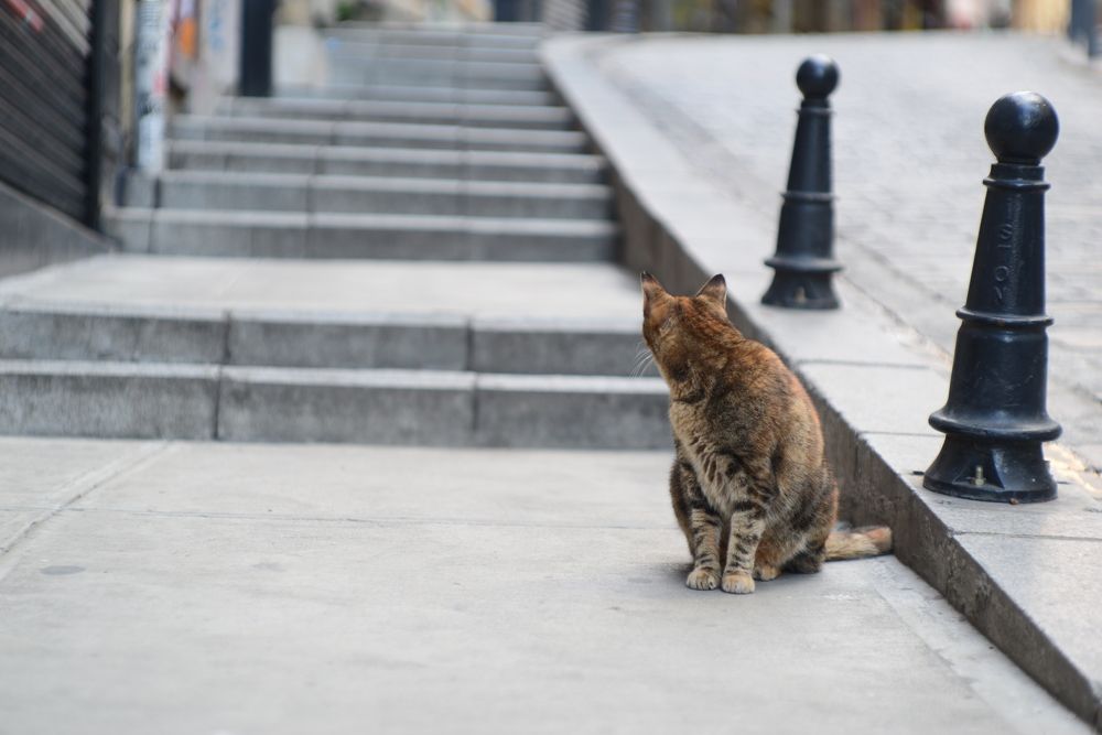 Photograph by Ольга Садохова