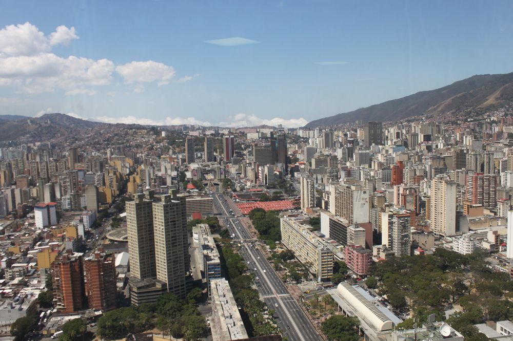 Selva de cemento