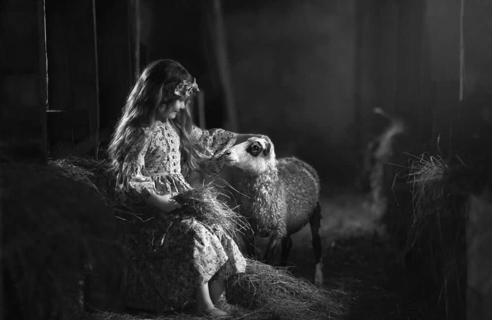 Василиса и барашка