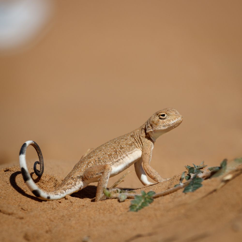 Фотография автора Сыч Римма