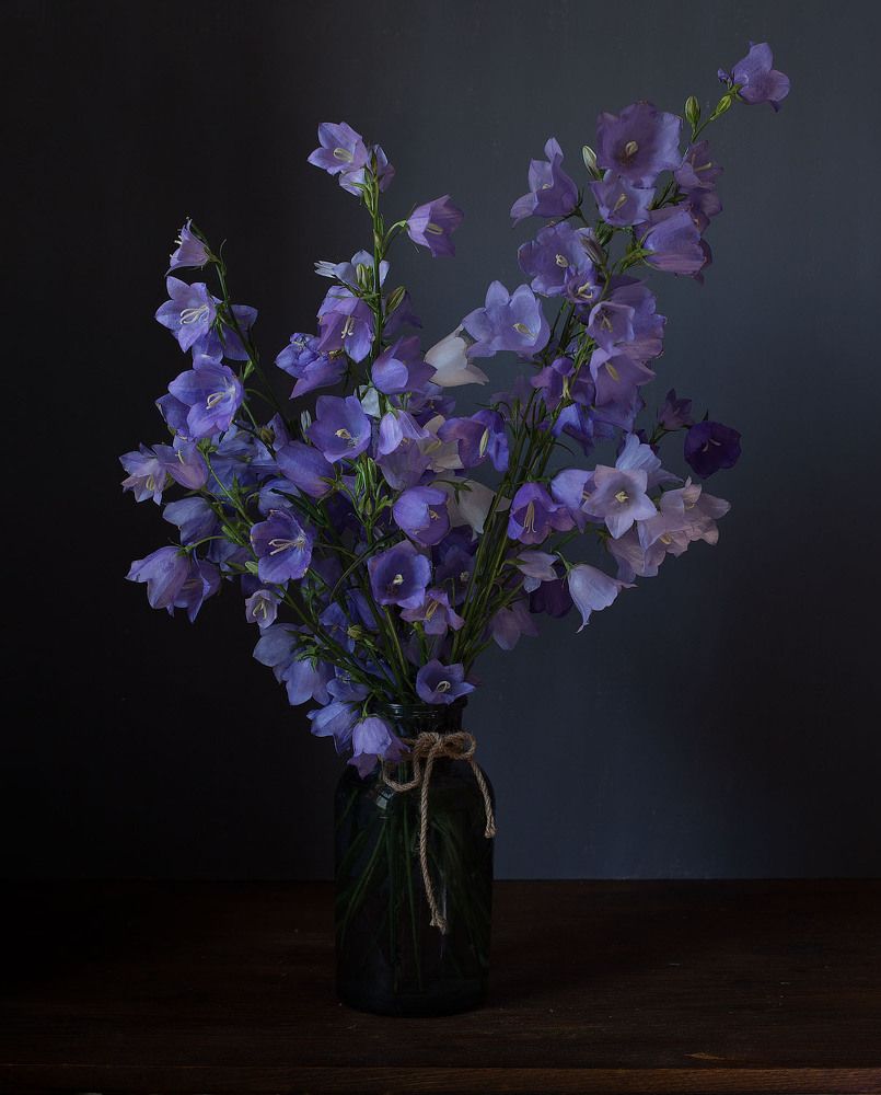 Фотография автора Алина Ланкина