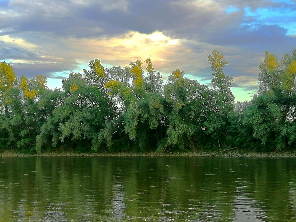 Фотография автора Mario Mihaldinec