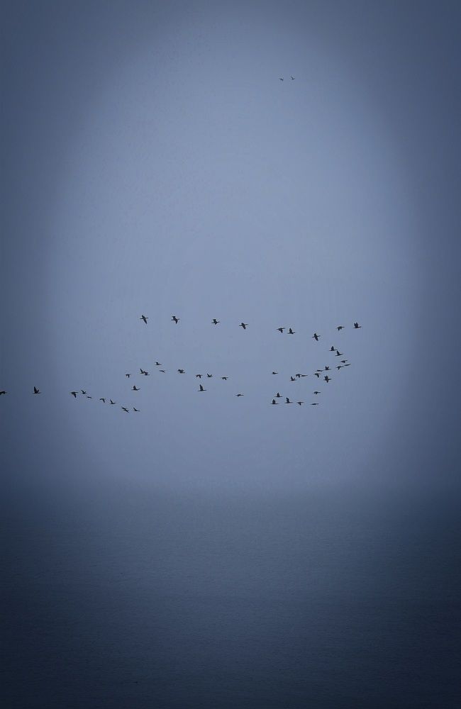 Photograph by Екатерина Гордеева