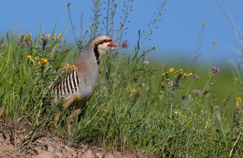 Фотография автора Татьяна Меньшикова