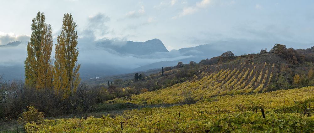 Photograph by Виктор Филипчук