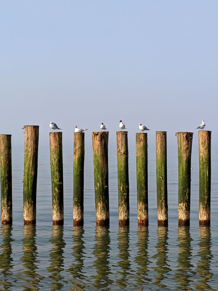 Photograph by Максим Яцушко