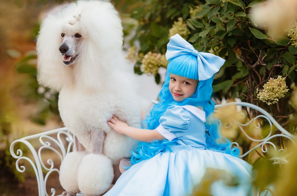 Фотография автора ЕВГЕНИЯ ЯСИНЕЦКАЯ