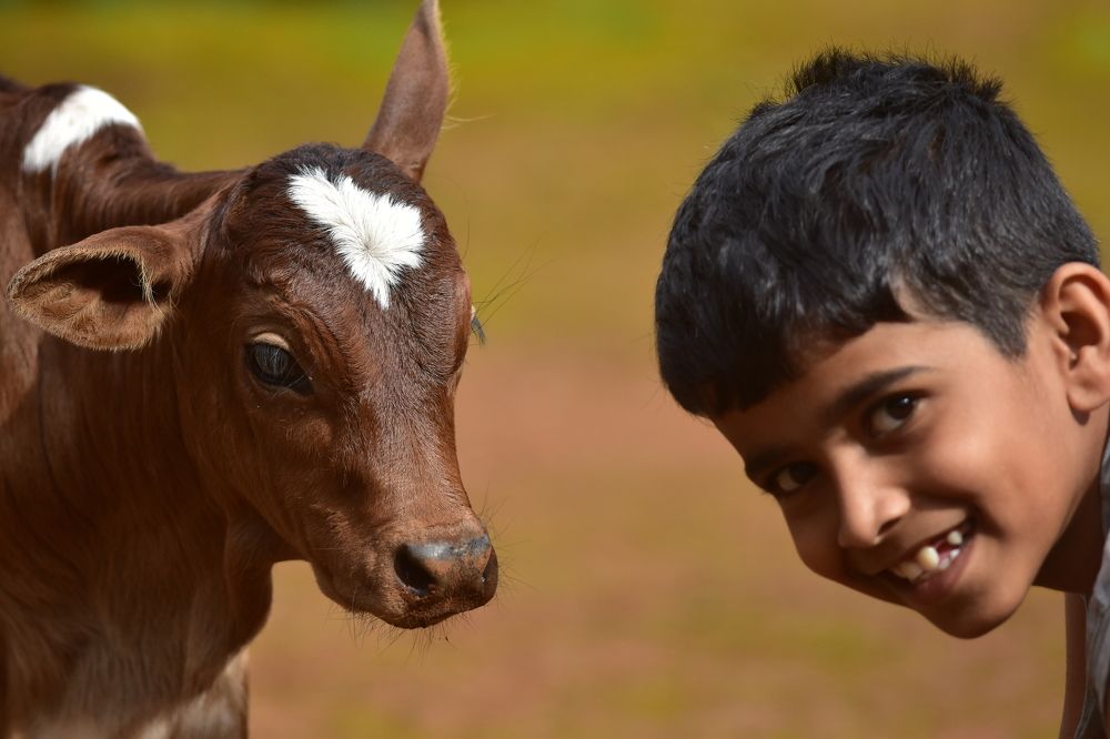Photograph by Uthaiah Pattachravanda