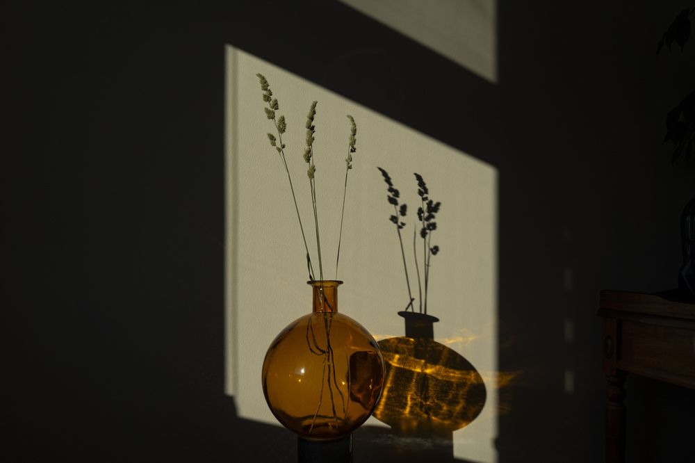 Фотография автора Ирина Зайцева