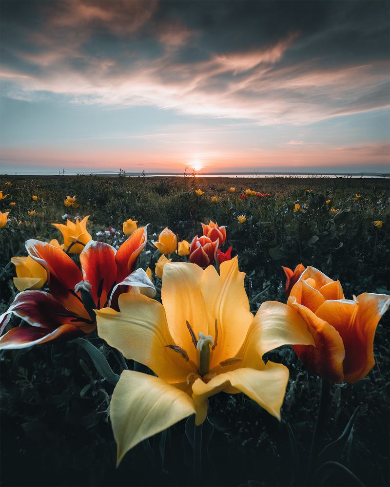 Photograph by Скалин Алексей