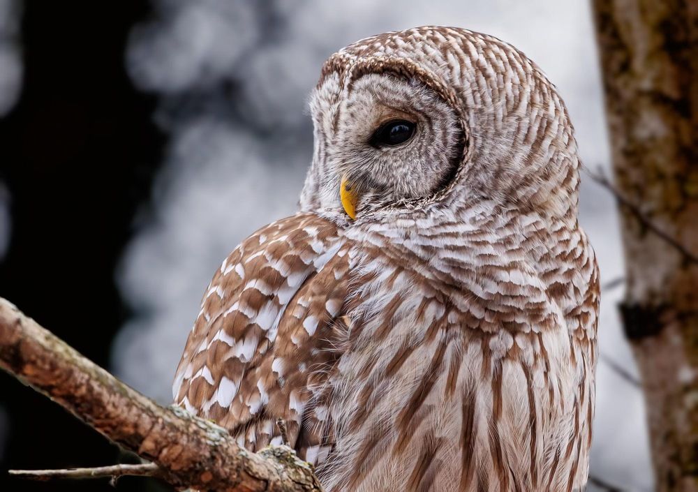 Photograph by Phil Lawrence