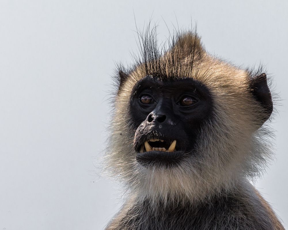 Photograph by Ranley Evarts