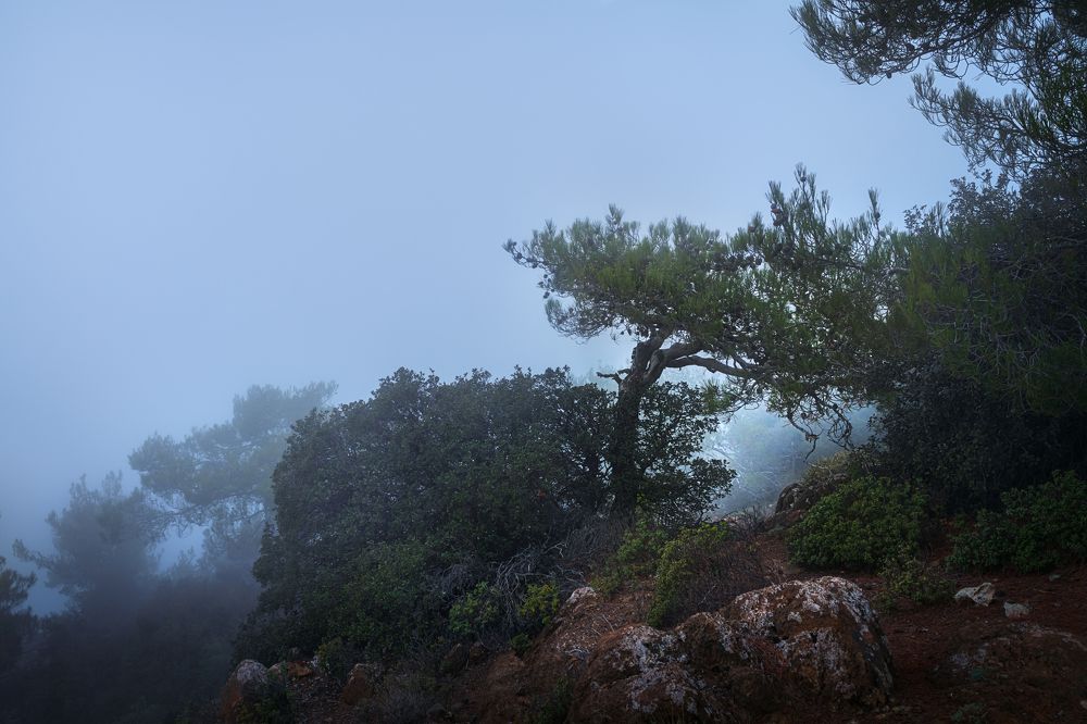 Photograph by Svetlana Tertyshnaya