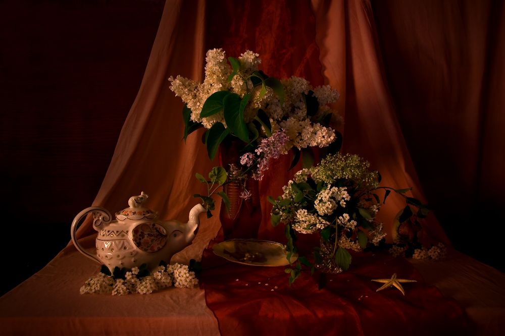 Фотография автора Анна Власенко