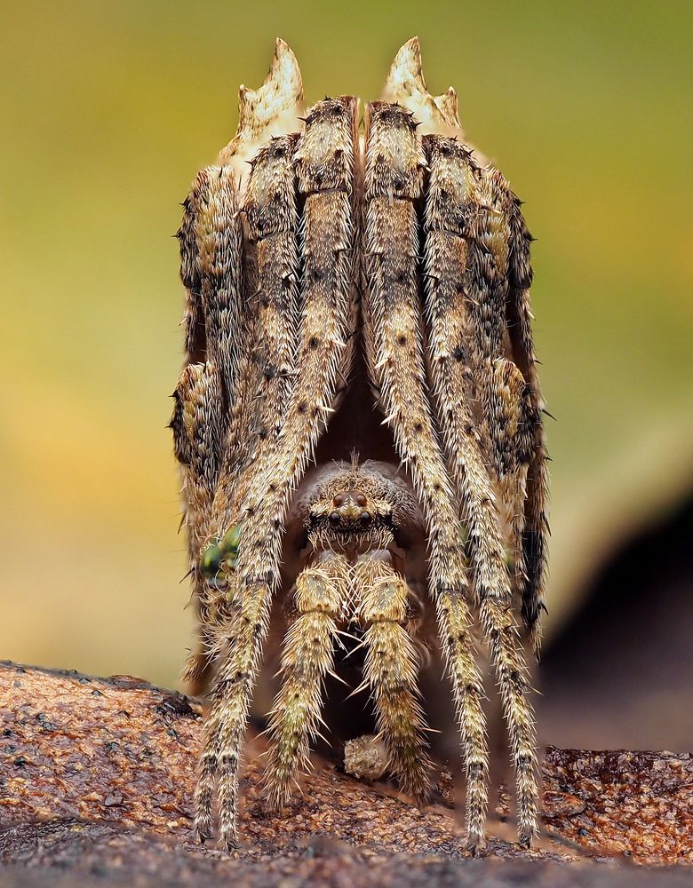 Photograph by Madhan Kumar Balaguru