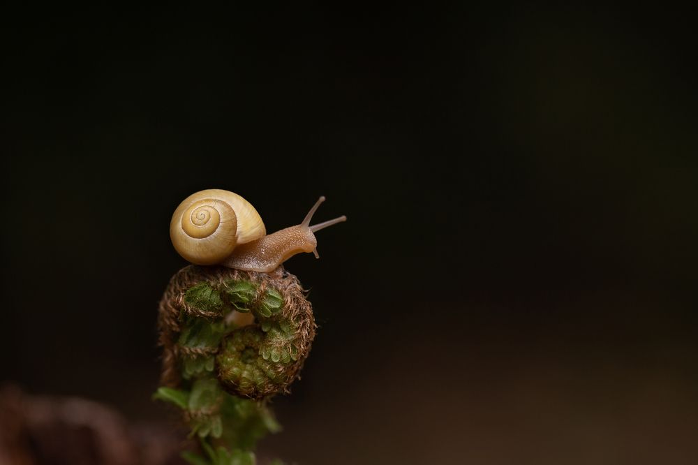 Photograph by Светлана Тузлукова