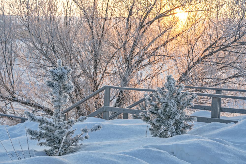 Photograph by Бирюков Вячеслав