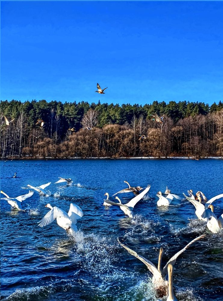 Photograph by Ольга Уласик