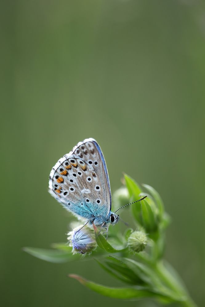 Photograph by Светлана Тузлукова