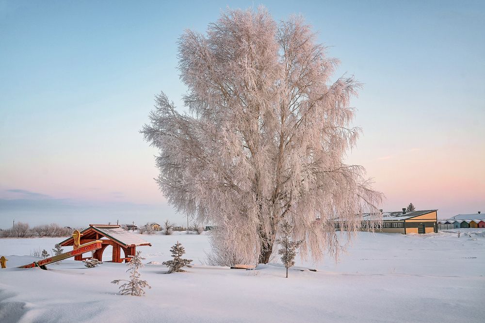 Photograph by Бирюков Вячеслав