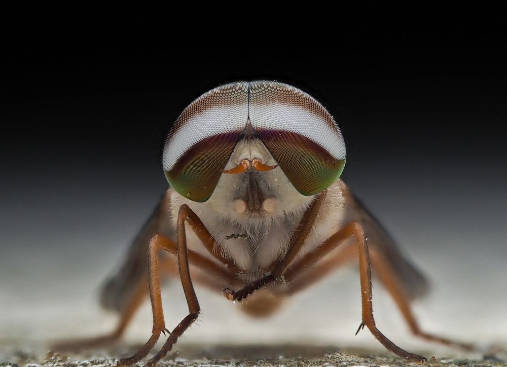 Photograph by Madhan Kumar Balaguru