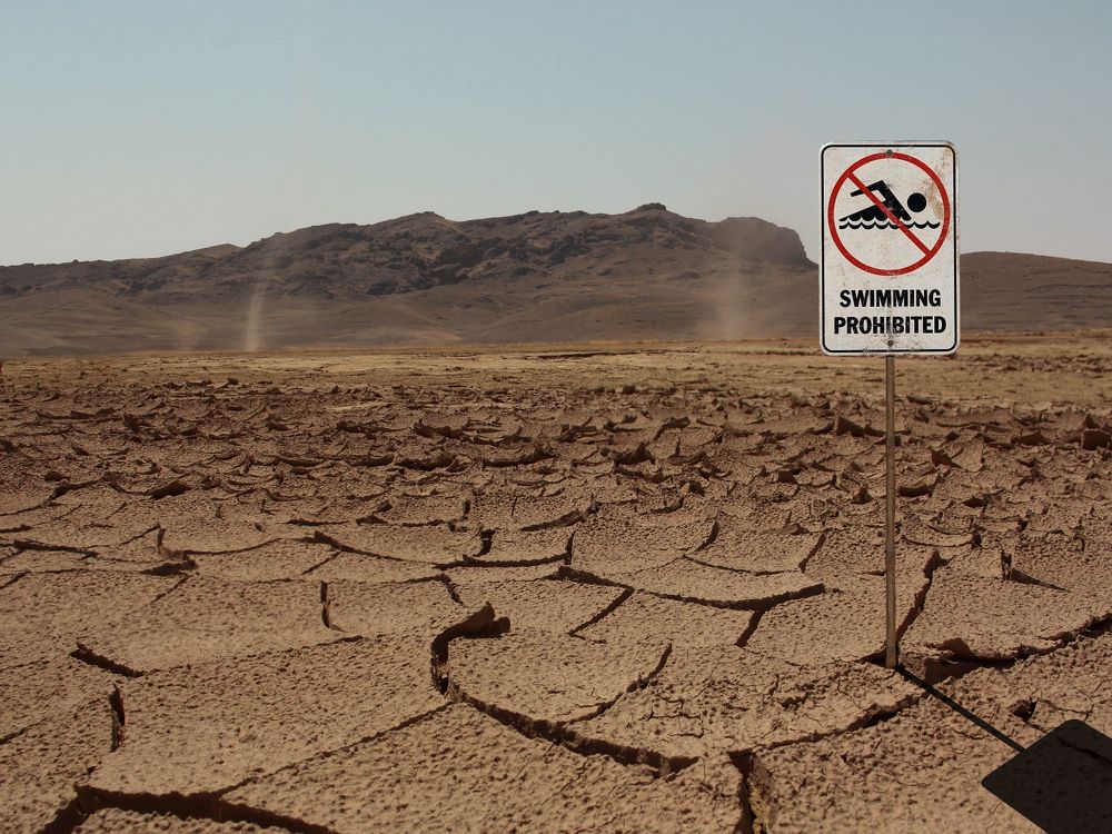 Фотография автора Davoodi Hosein