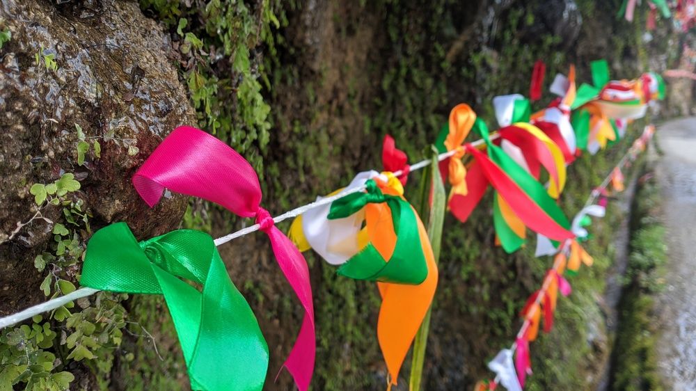 Photograph by Юлия Кононова