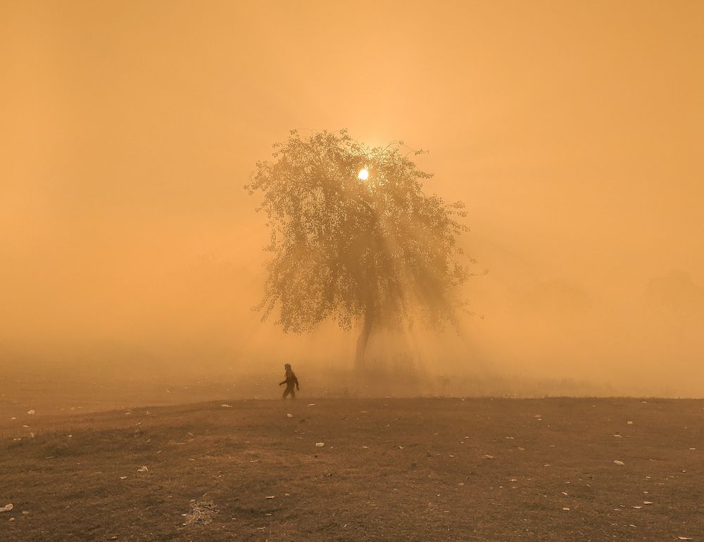 Photograph by Sunil Choudhary