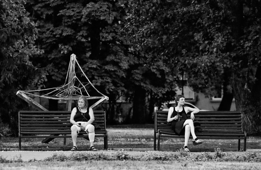 Фотография автора Miroslav Zhekov