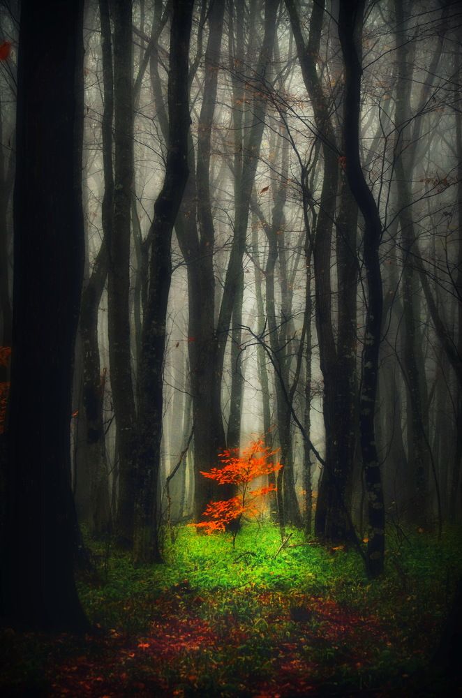 Photograph by  Владимир