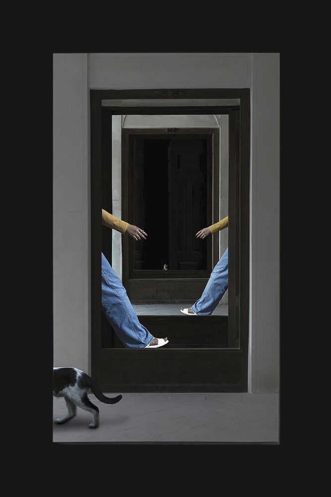 Photograph by amir badrazimi