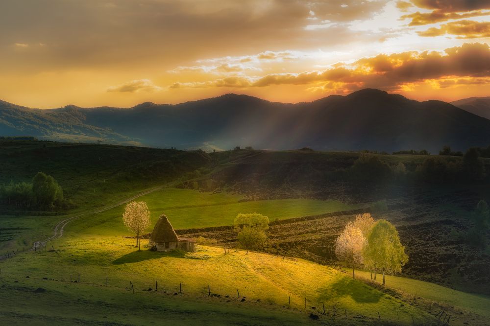 Фотография автора H Gabriel