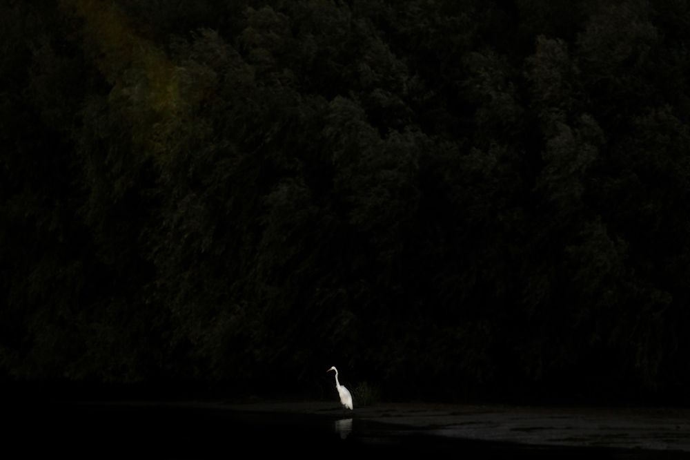 Photograph by Adrian Grigore