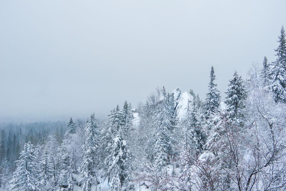 Фотография автора Елена Самофалова