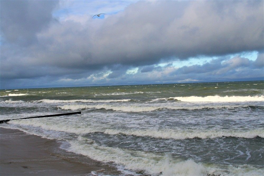Photograph by vera