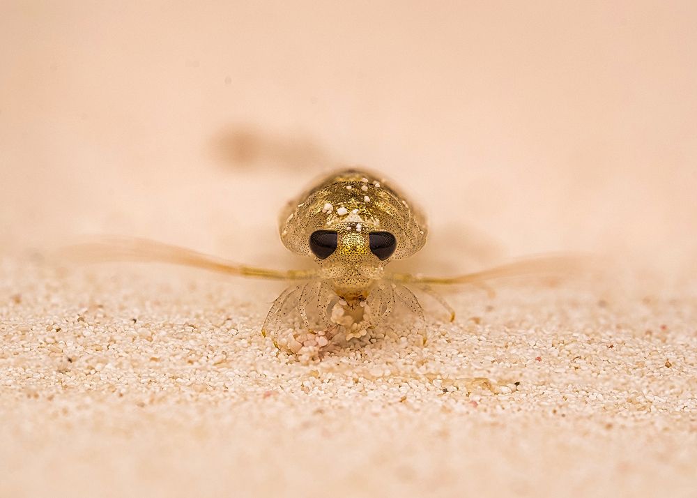 Photograph by MILTON H RUIZ CANTO