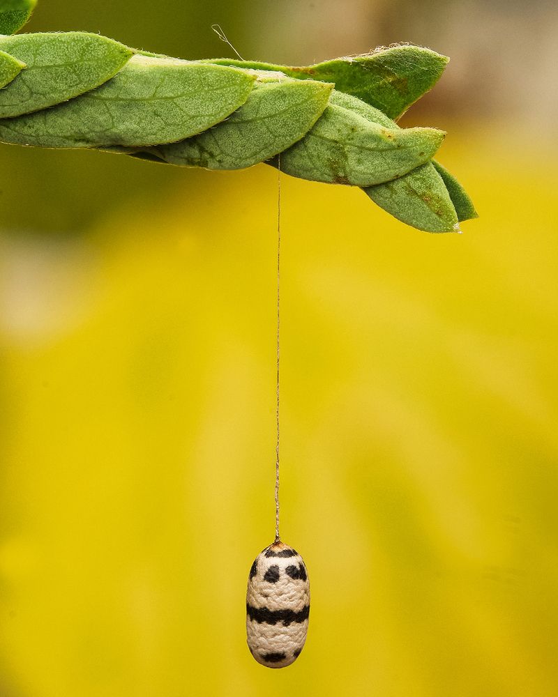 Photograph by MILTON H RUIZ CANTO