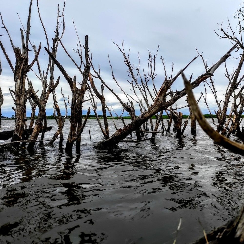 Photograph by Ирина Саттарова